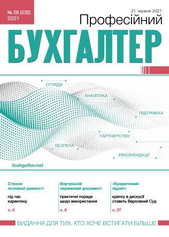 Професійний бухгалтер