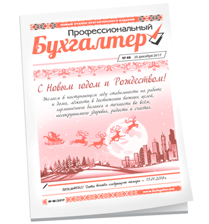 Профессиональный бухгалтер