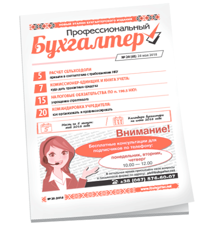 Профессиональный бухгалтер