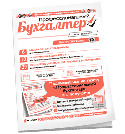 Профессиональный бухгалтер