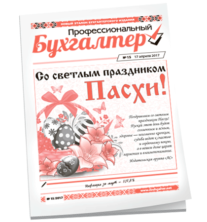 Профессиональный бухгалтер