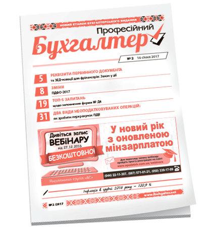 Професійний бухгалтер