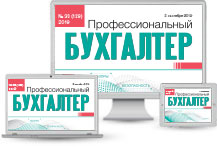 Профессиональный бухгалтер (эл. версия)