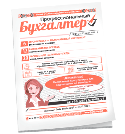 Профессиональный бухгалтер