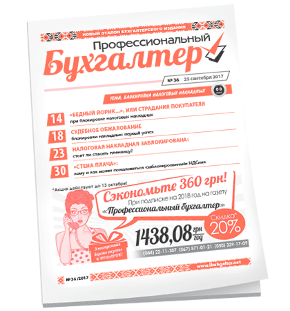 Профессиональный бухгалтер