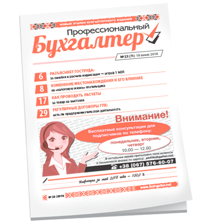 Профессиональный бухгалтер