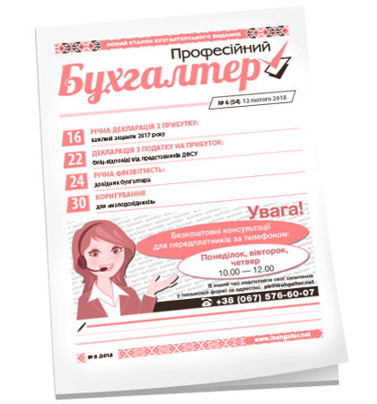 Професійний бухгалтер