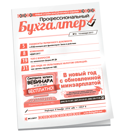 Профессиональный бухгалтер