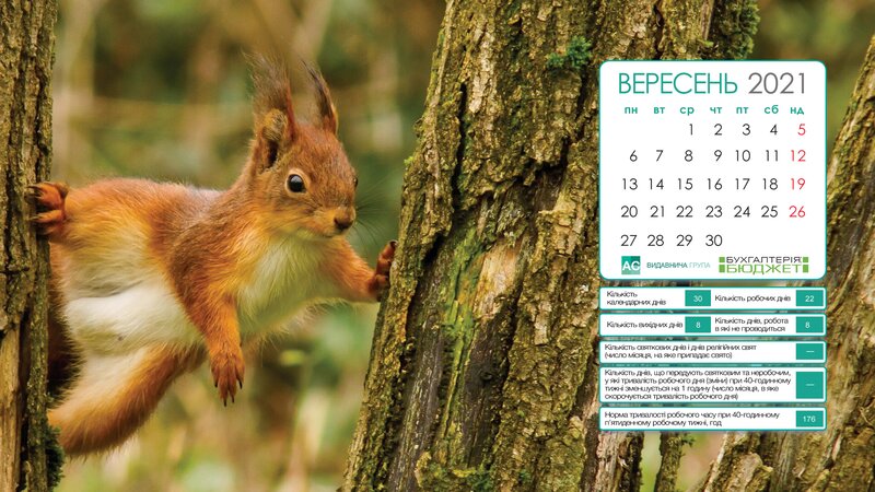 обои для рабочего стола сентябрь