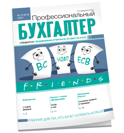 Профессиональный бухгалтер