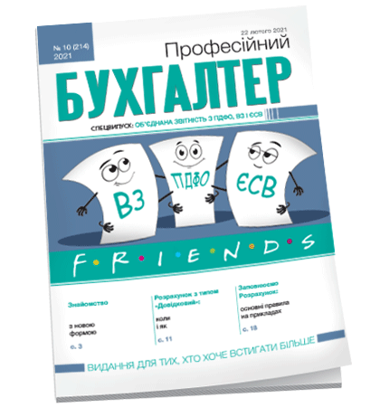 Професійний бухгалтер