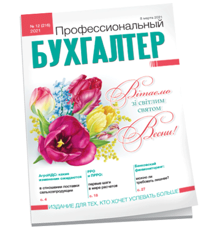 Профессиональный бухгалтер