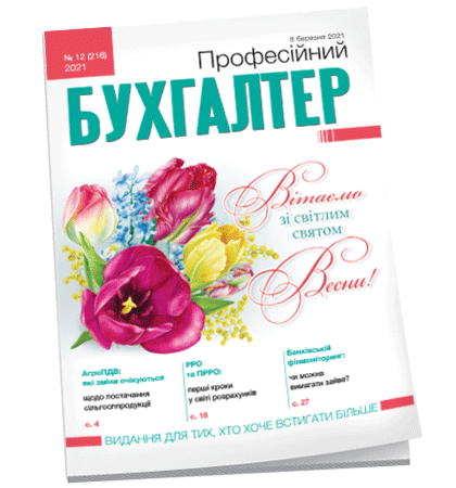 Професійний бухгалтер