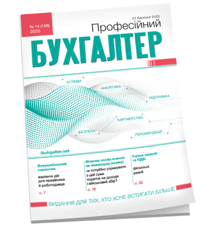 Професійний бухгалтер