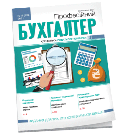 Професійний бухгалтер