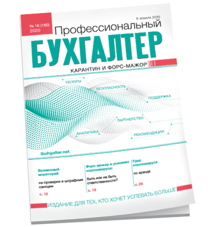 Профессиональный бухгалтер