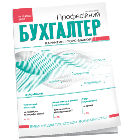 Професійний бухгалтер