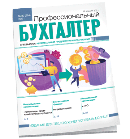 Профессиональный бухгалтер