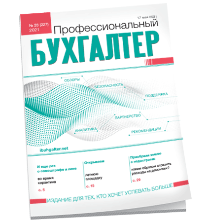 Профессиональный бухгалтер