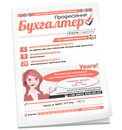 Професійний бухгалтер