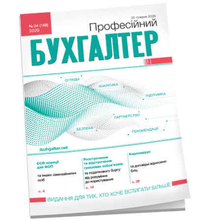 Професійний бухгалтер