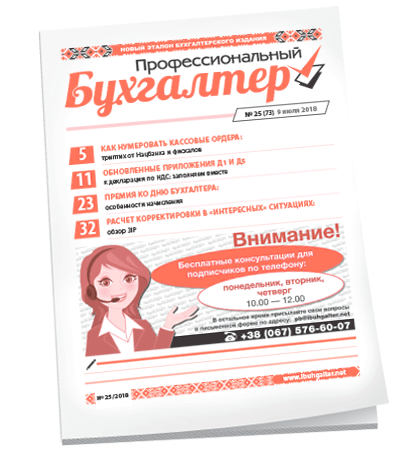 Профессиональный бухгалтер