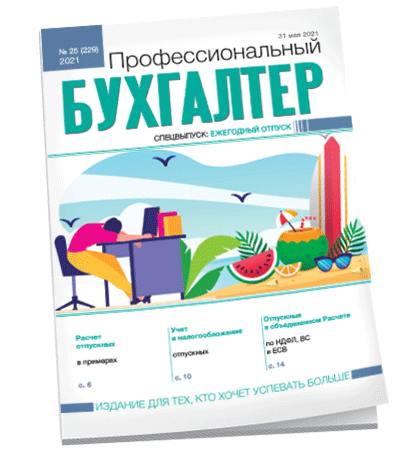 Профессиональный бухгалтер