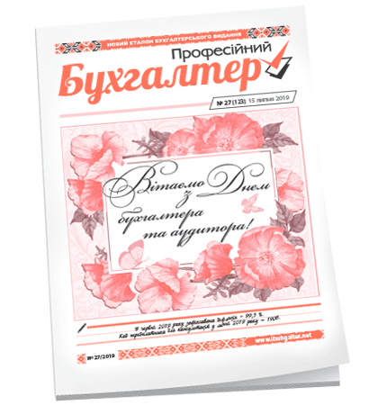 Професійний бухгалтер