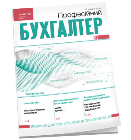 Професійний бухгалтер