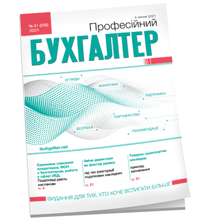 Професійний бухгалтер