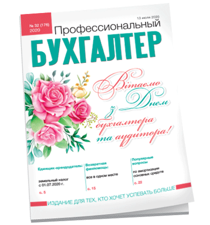 Профессиональный бухгалтер