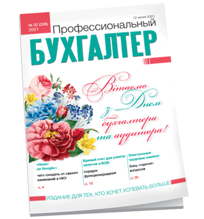 Профессиональный бухгалтер