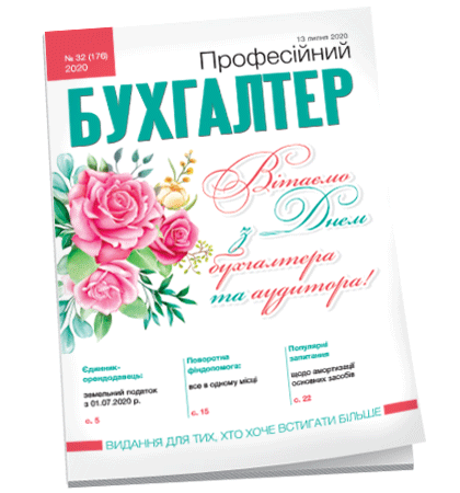 Професійний бухгалтер