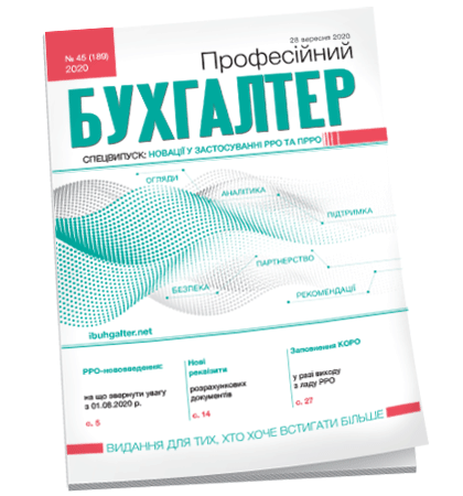 Професійний бухгалтер