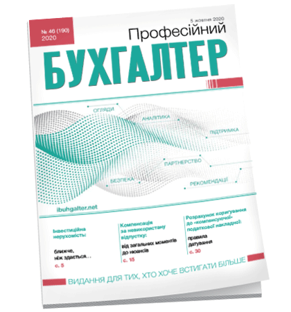 Професійний бухгалтер