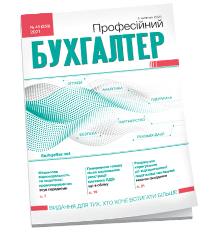 Професійний бухгалтер