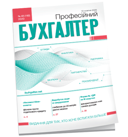 Професійний бухгалтер