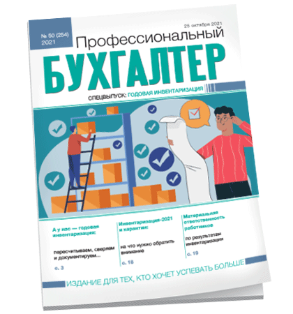 Профессиональный бухгалтер