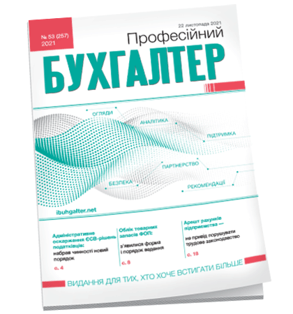 Професійний бухгалтер