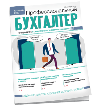 Профессиональный бухгалтер