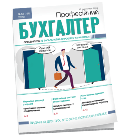 Професійний бухгалтер