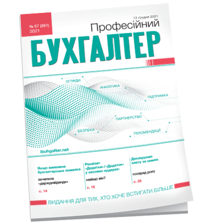 Професійний бухгалтер