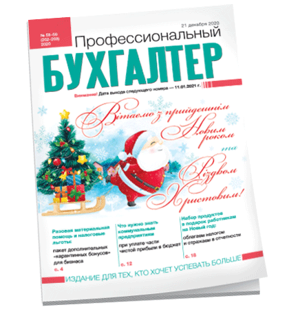 Профессиональный бухгалтер