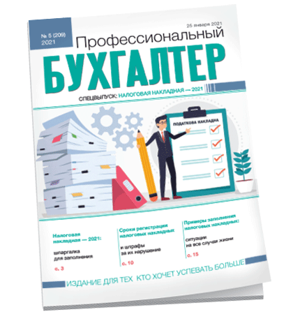 Профессиональный бухгалтер