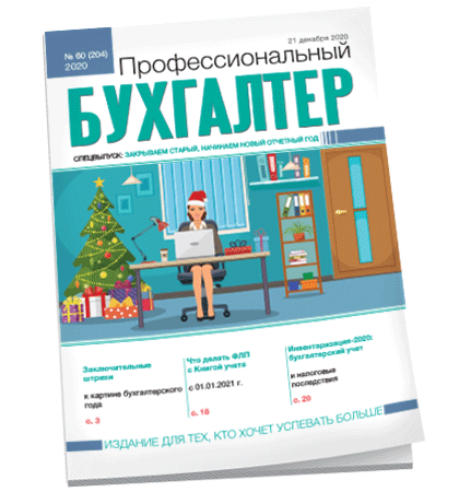 Профессиональный бухгалтер