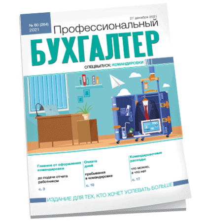 Профессиональный бухгалтер