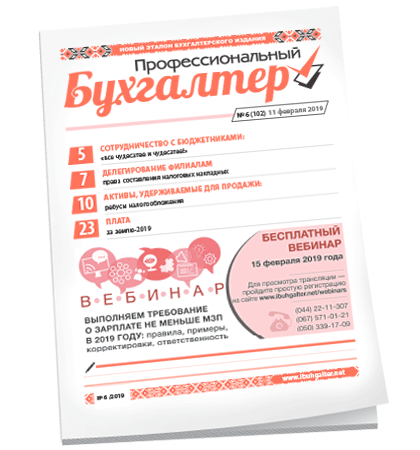 Профессиональный бухгалтер