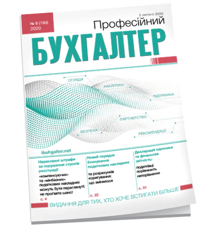 Професійний бухгалтер