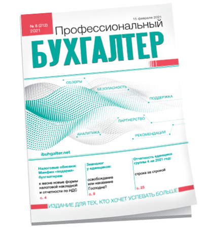 Профессиональный бухгалтер