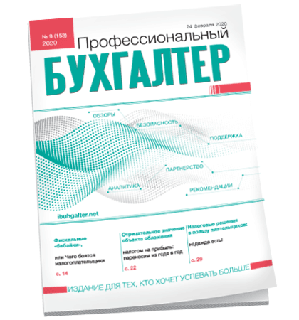 Профессиональный бухгалтер